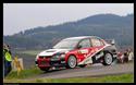 Sumava 2008 063 Trneny.jpg