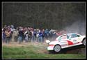 Mogul Šumava Rallye 2008 - havárie V.Szabo, foto P.Schamberger