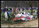 Šumava je minulostí. Nyní je na řadě je Rallye Český Krumlov