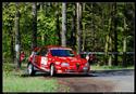 Martin Rada při Mogul Šumava Rallye Klatovy 2009, foto Pavel Douša