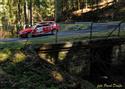 06_SUMAVA_2010_RADA.jpg