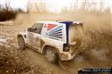 81.jpg
