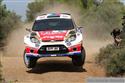 wrc 25.jpg