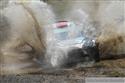 wrc 40.jpg