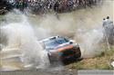 wrc 8.jpg