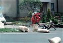 RETRO CRASH Vladislav Kedzior Hořice 1995 foto Luboš NOVOSÁD