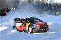 Loeb_RZ12.JPG