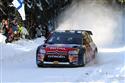 Sordo_RZ04.JPG