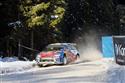 Sordo_RZ13.JPG