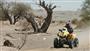 Fotovzpomínky na Dakar 2009 objektivem Jaroslava Jindry