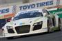 Krasavec Audi R8 na 24 hodinovce v Dubaji 2009, foto týmu