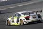 Krasavec Audi R8 na 24 hodinovce v Dubaji 2009, foto týmu