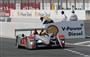 AUDI opět vítězí v Le Mans 2007