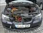 Srnka v motoru BMW