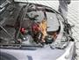 Srnka v motoru BMW