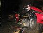 Havárie nového Ferrari do stromu u Prusinovic, foto THS