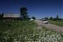 IRC 2008, Rally Russia a Jan Kopeck v cli est,foto tmu