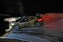 Monte 2010 - Franz Wittmann s P 207 S2000, foto týmu