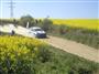 Hustopeče 2007, foto Zdeněk Bartoš jun.
