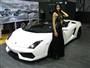 Autosalon Brno 2009 a sporťáky objektivem Karla Kolečka