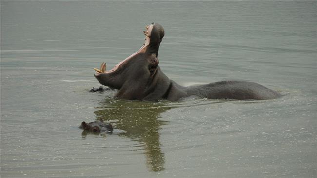 Fotovzpomínky na africký Dakar objektivem Jaroslava Jindry