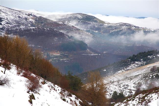 Rallye Monte Carlo objektivem Mirka Knedly sen