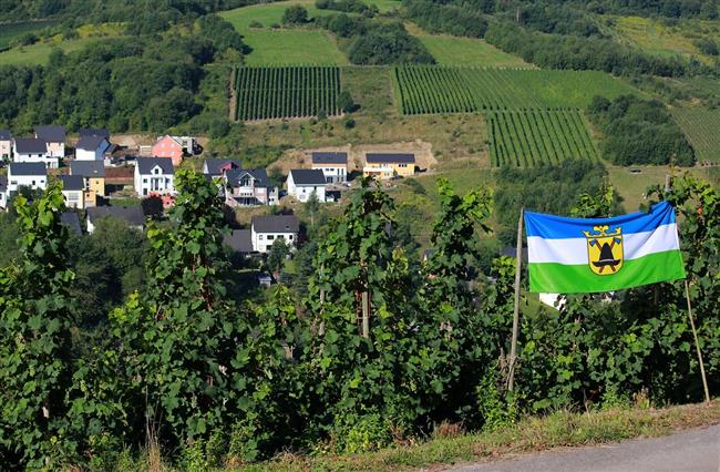 Rallye Deutschland 2010 objektivem Honzy Piechaczka