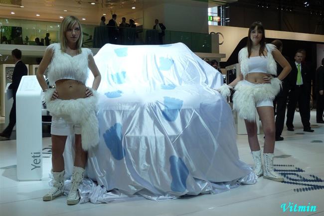 Autosalon Brno 2009 a koiky objektivem Vti Klgla