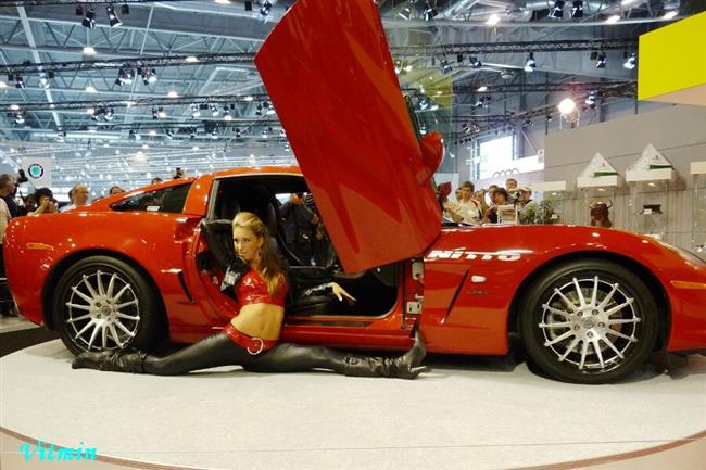 Autosalon Brno 2009 a koiky objektivem Vti Klgla