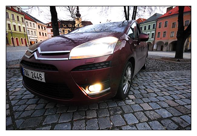 Dravec s andělskou tváří