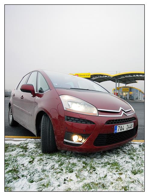 Dravec s andělskou tváří