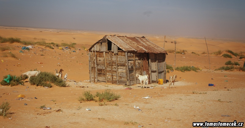 afr2011_146budka.jpg