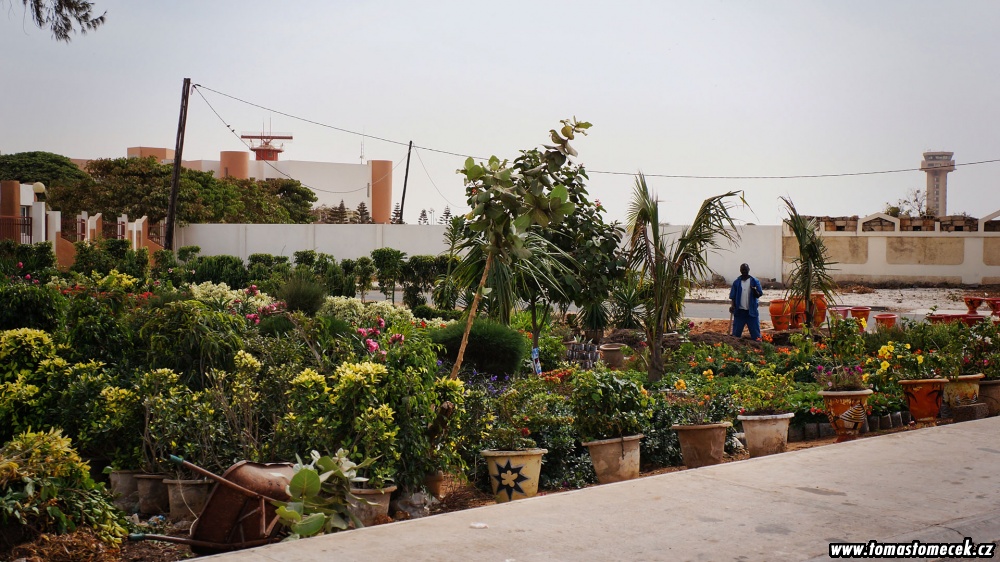 afr2012_748.jpg