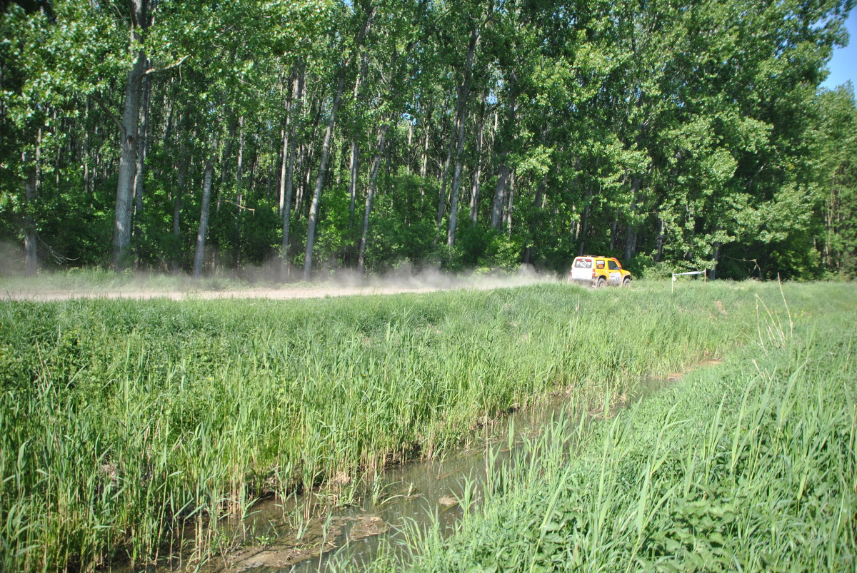 DSC_0596.JPG