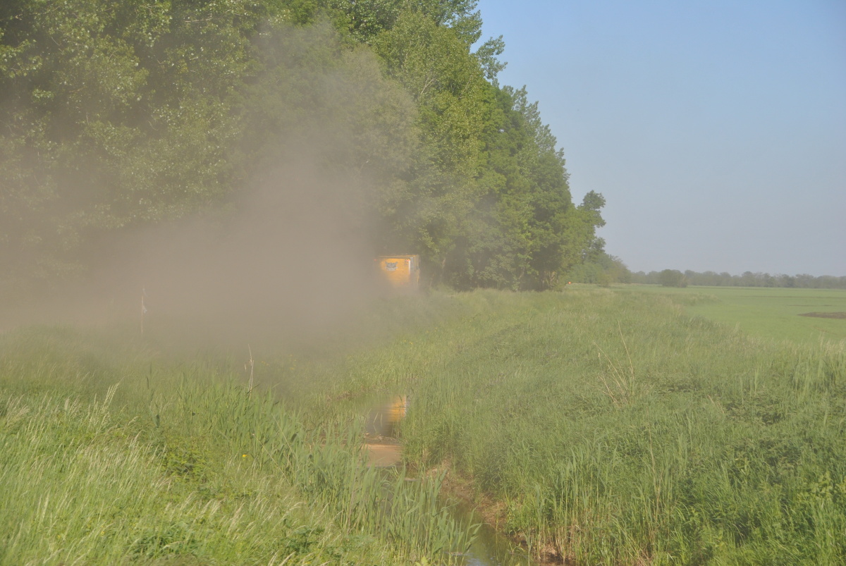 DSC_0614.JPG