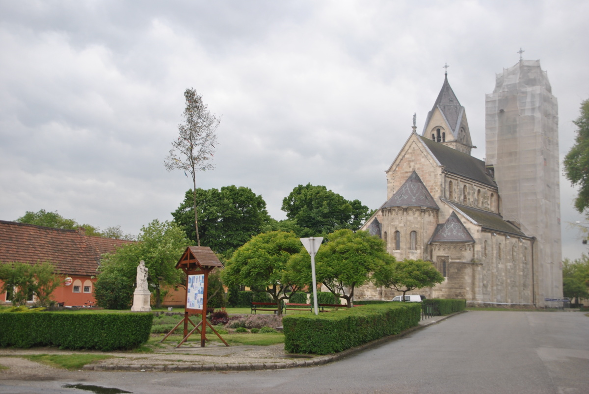 DSC_0726.JPG