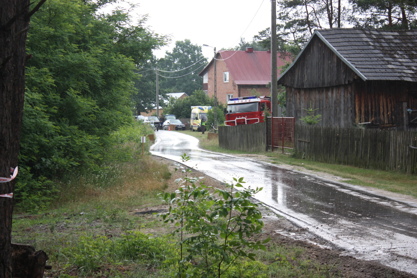 IMG_9449.JPG