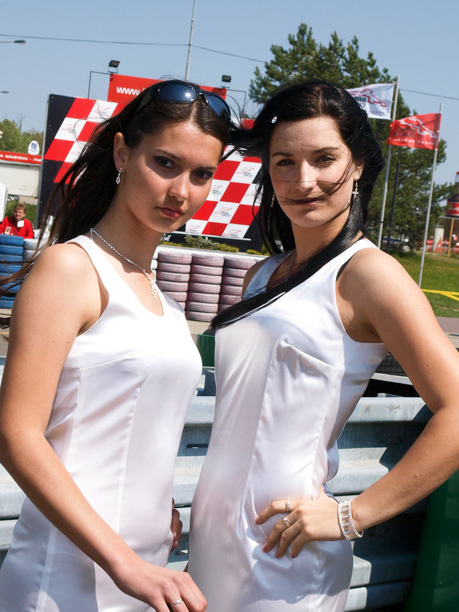 p4262883kocicky.jpg