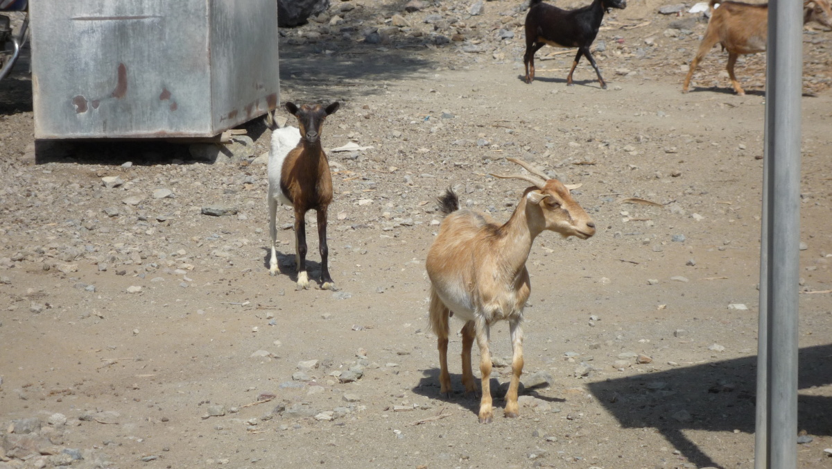 P1010141.JPG