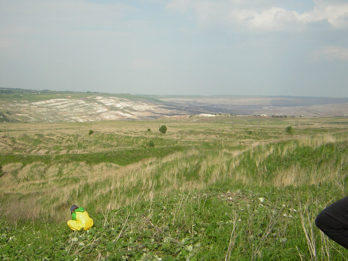2004_0101pavel0160.JPG