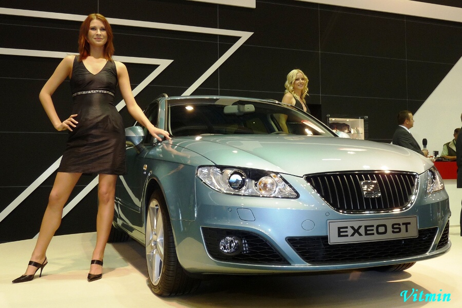 Seat_Exeo.jpg