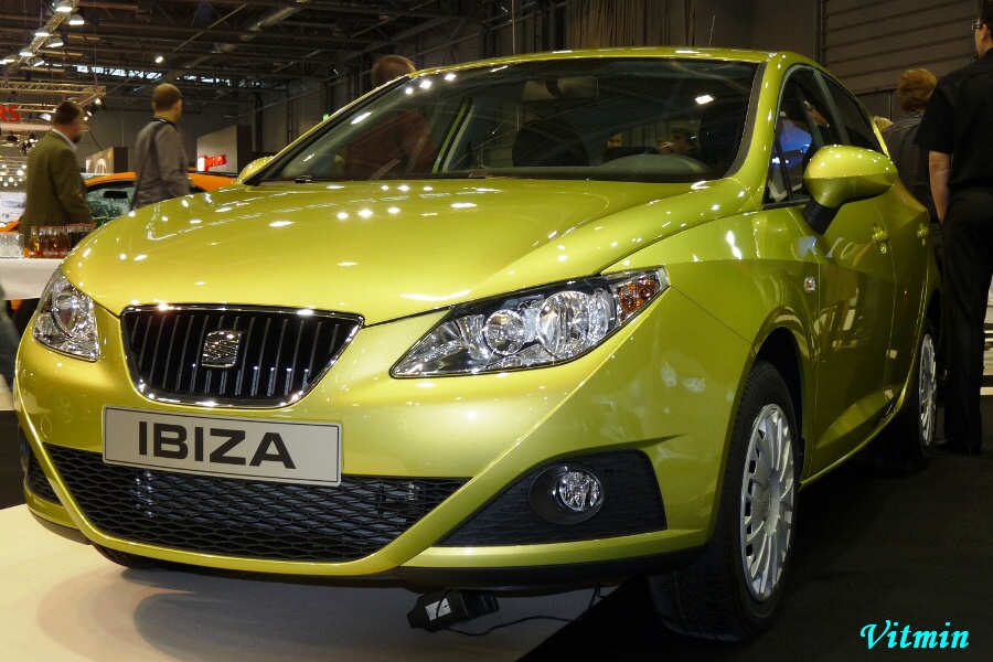 Seat_Ibiza.jpg