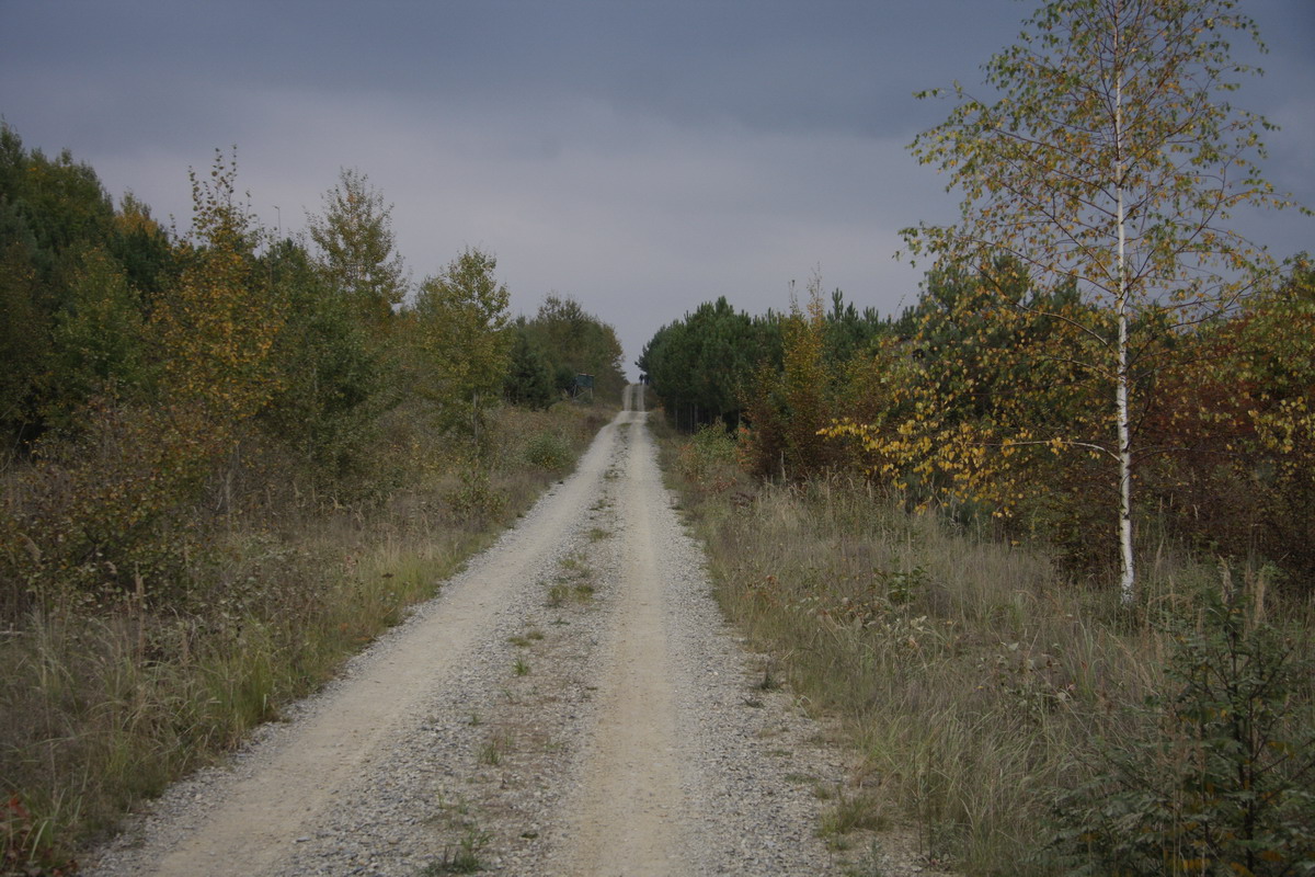 upr_55_Lausitz-10-14.JPG