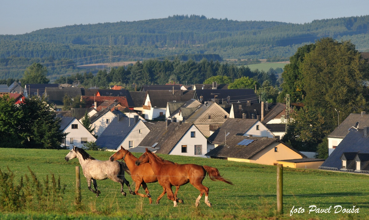 28_DEUTSCHLAND_2010_219.jpg