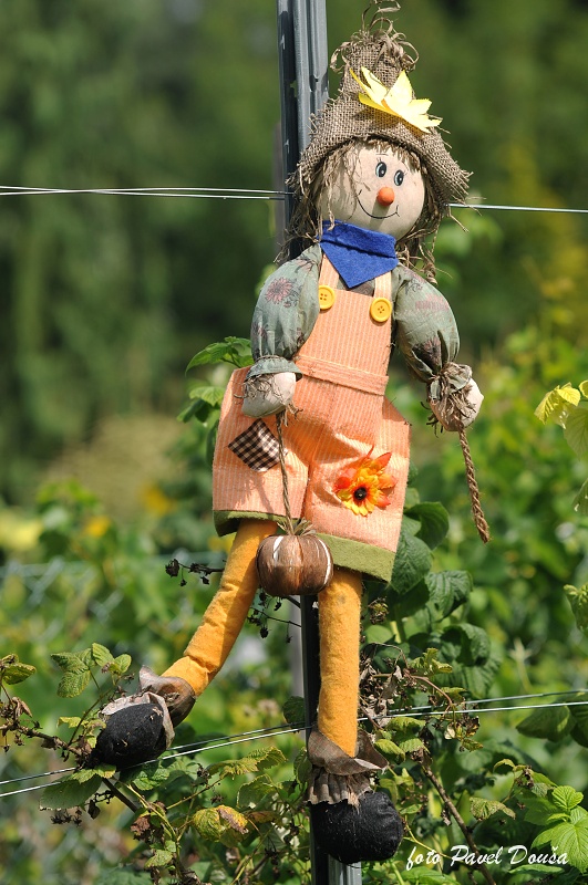 68_DEUTSCHLAND_2010_162.jpg