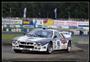 Rally Bohemia 2008,foto Pavel Douša